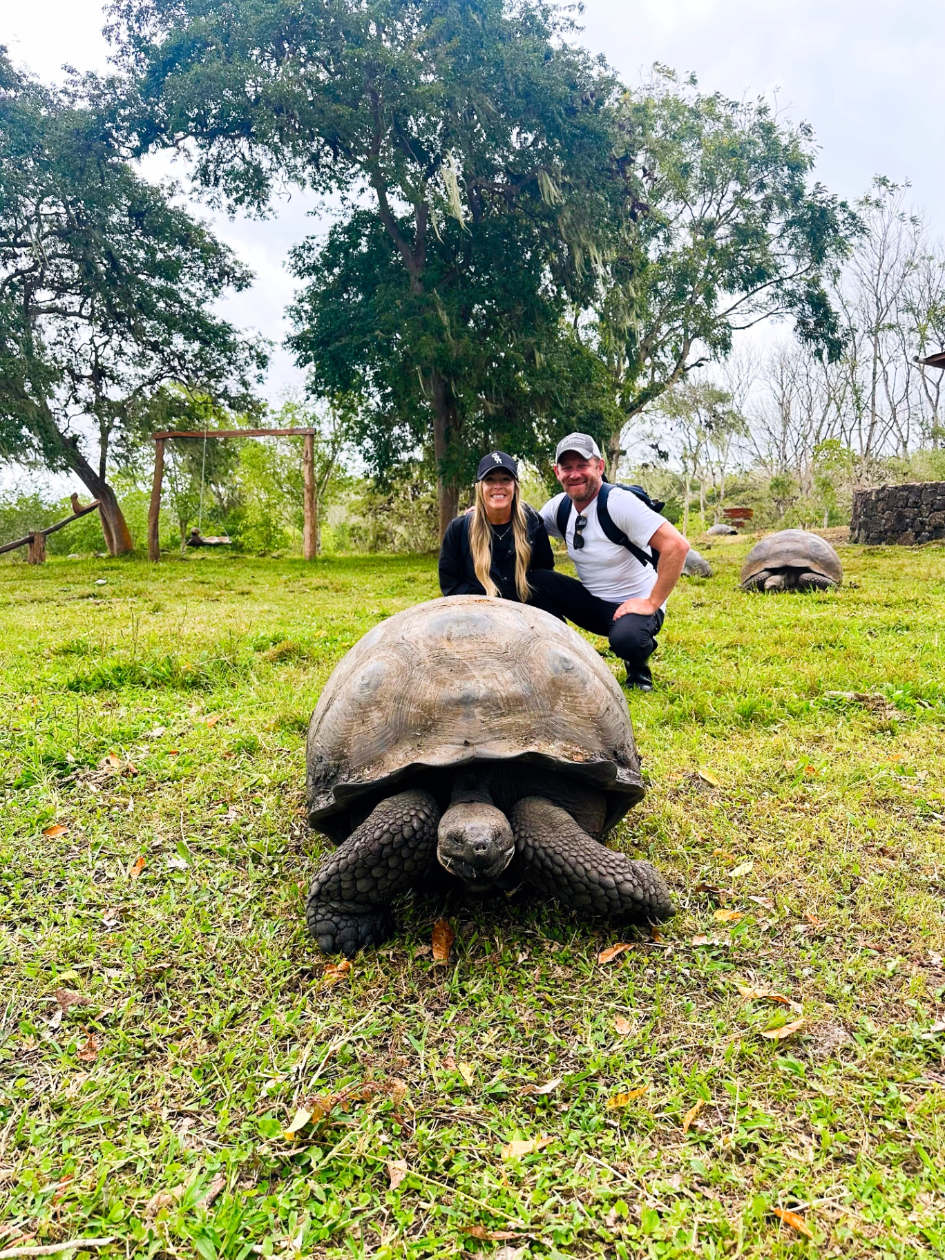Nicci Grotefendt beside a giant Galápagos tortoise in the Santa Cruz highlands — CLIA Certified Cruise Counselor, Aurora Expeditions preferred partner, Travel GHR